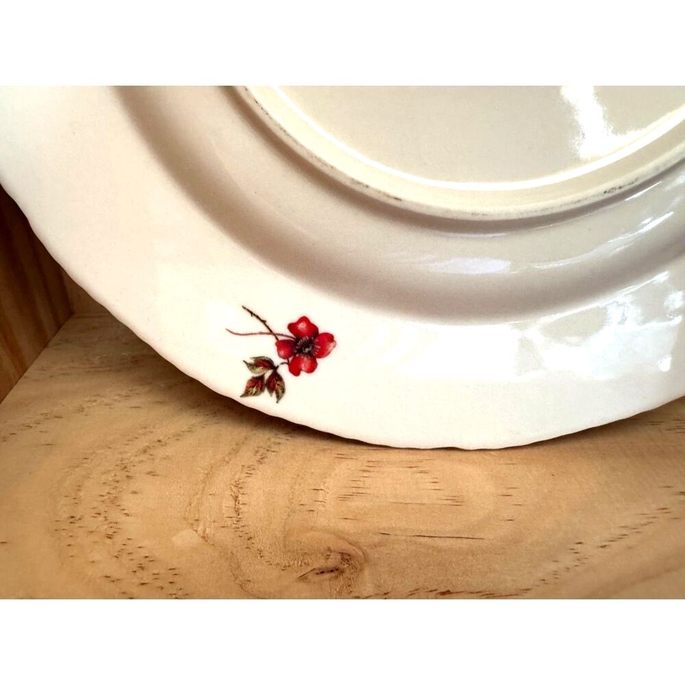 ANTHROPOLOGIE Black Swan Yellow Edge Salad/Dessert Plate SZ 9 1/4" Discontinued - Picture 6 of 8